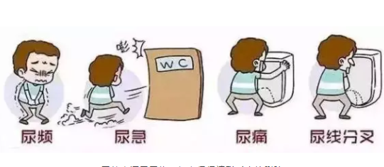 柳州男性的前列炎哪看好?保养前列腺的方法(图1) 柳州男性的前列炎哪看好?保养前列腺的方法(图1)